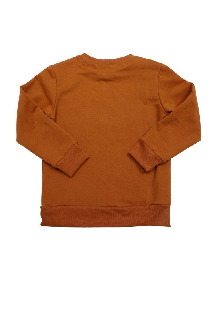 Bio-Pullover "Rittersporn", cognac